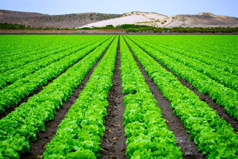 organic farming supplies